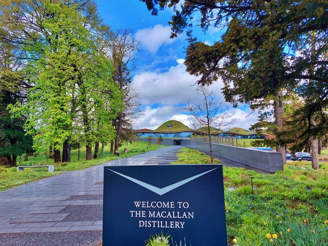macallan destylarnia szkocka krata blog whisky