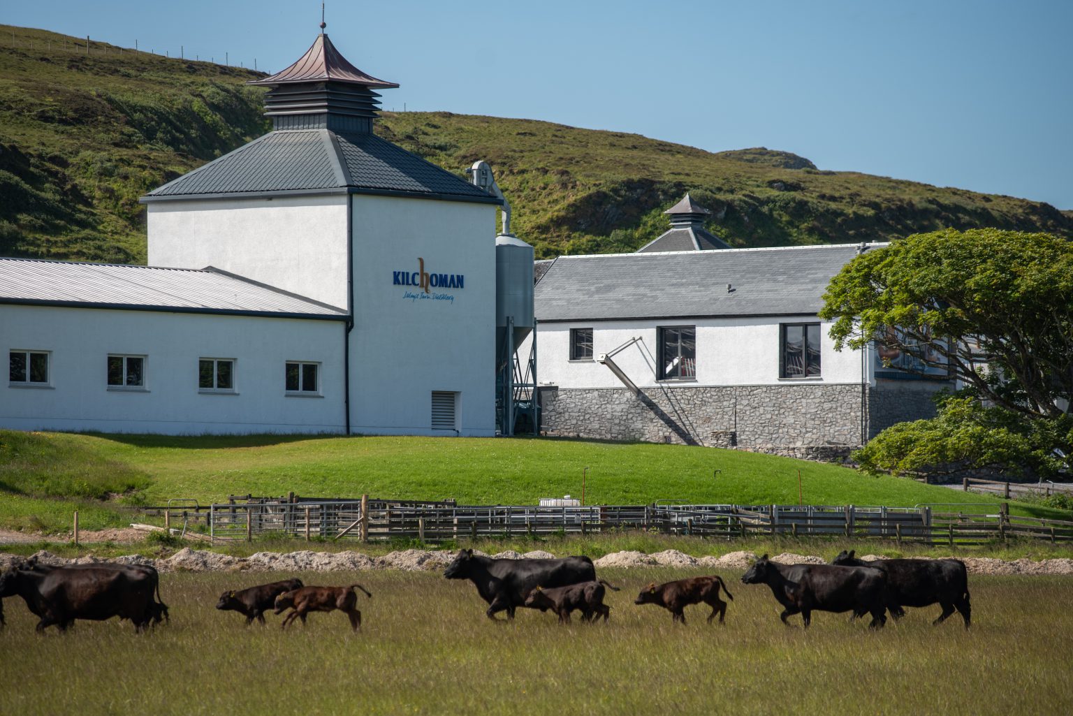 Kilchoman – alfabet whisky